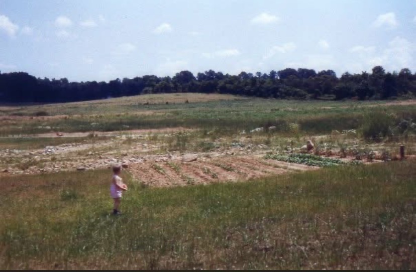 View from Ewing Drive looking east, 1949 — open farmland before Wyngate was built